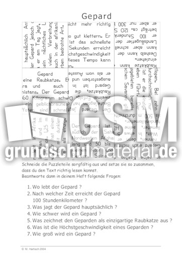 Gepard.pdf